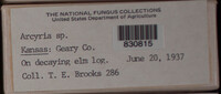 Image Associated With the Occurence